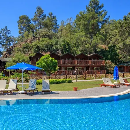 The Bay Club 5* Яниклар