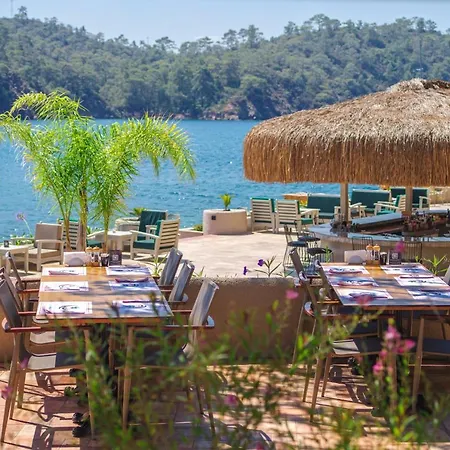 The Bay Club 5* Яниклар