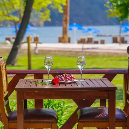 The Bay Club 5* Яниклар