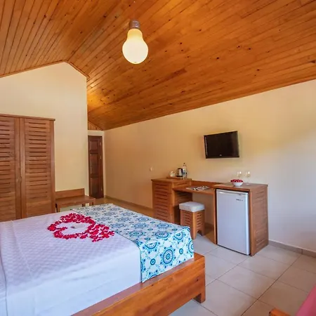 The Bay Club 5* Яниклар