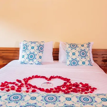 The Bay Club Яниклар