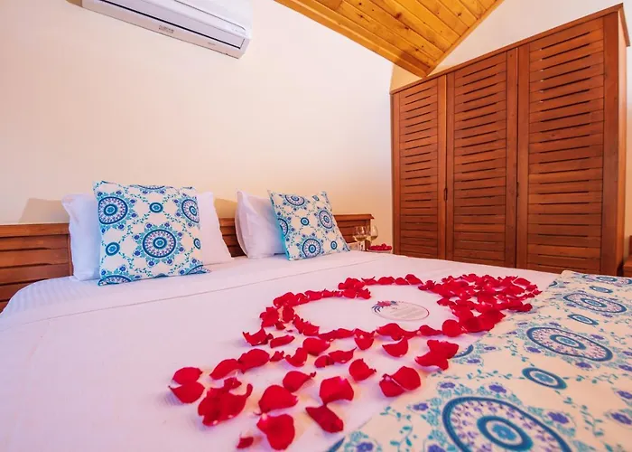 The Bay Club Resort 5*